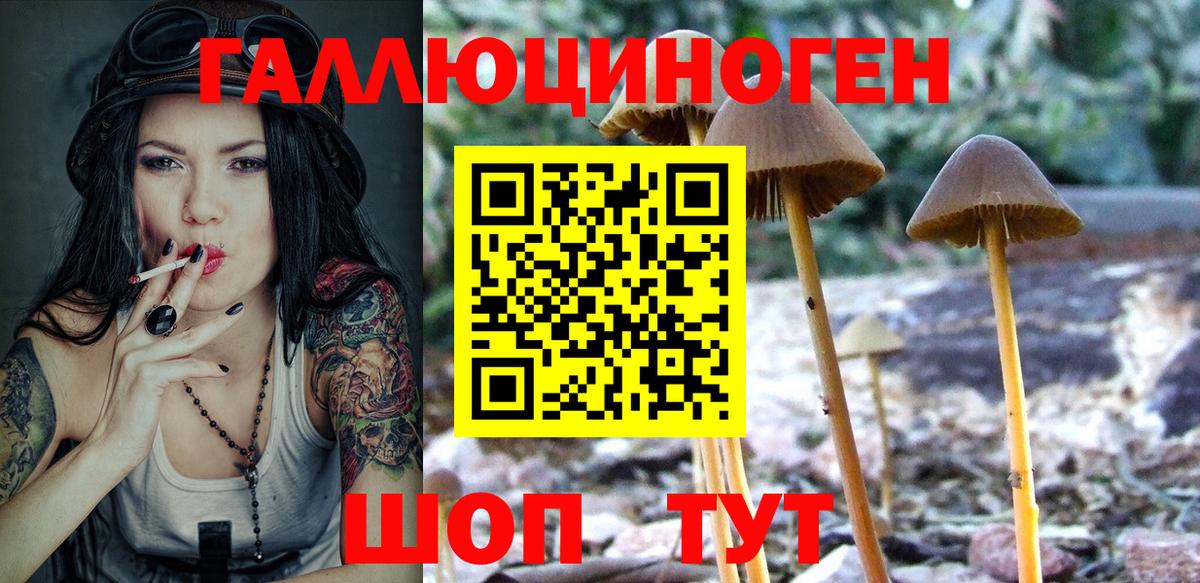 Галлюциногенные грибы Cubensis  Вход с VPN  Еманжелинск 