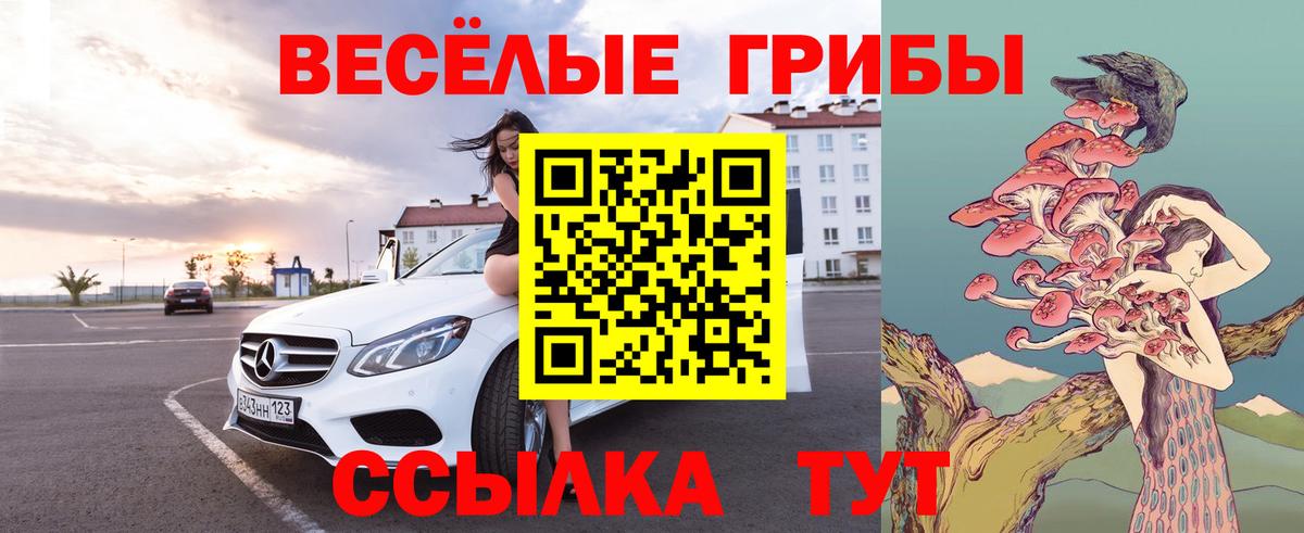 Галлюциногенные грибы Psilocybe Еманжелинск